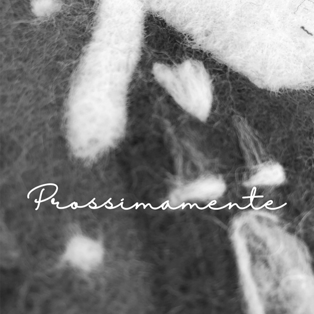 prossimamente_corso-infeltrimento